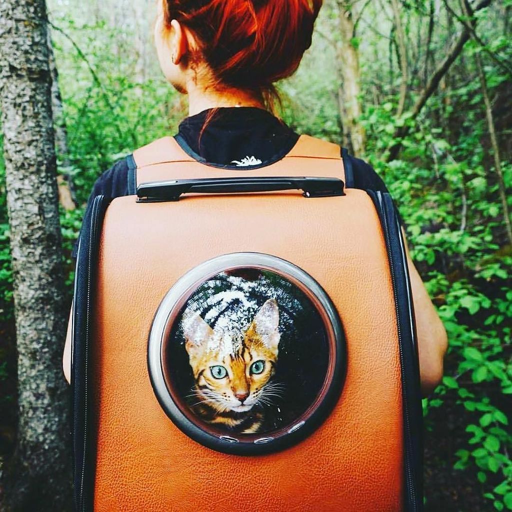 udesigngift's tweet photo. 🐱 in your backpack 🎒 https://t.co/9wWB9dGZ2k https://t.co/hCENUEWPc3