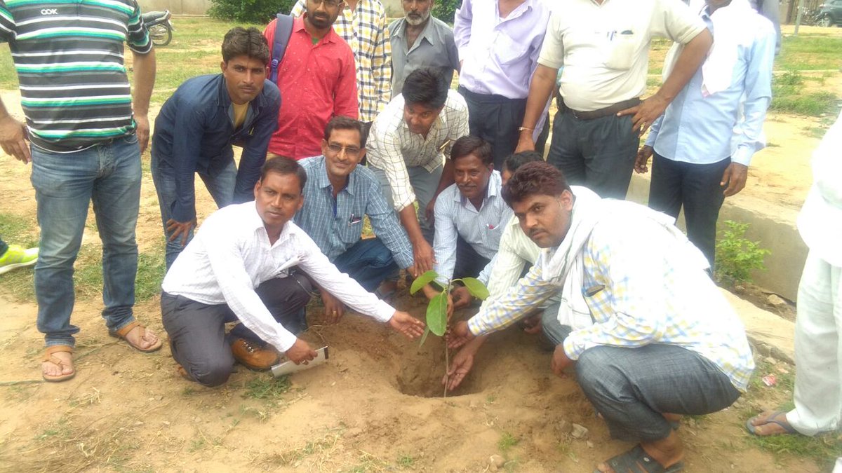 UPRMSJP's tweet photo. Plantation at Bandikui  Jaipur division  by UPRMS- Divisional Chairman ,Secretary ( Bandikui branch ) #SwachhtaPakhwada on 26/08/2017 https://t.co/hHY93FEJKL