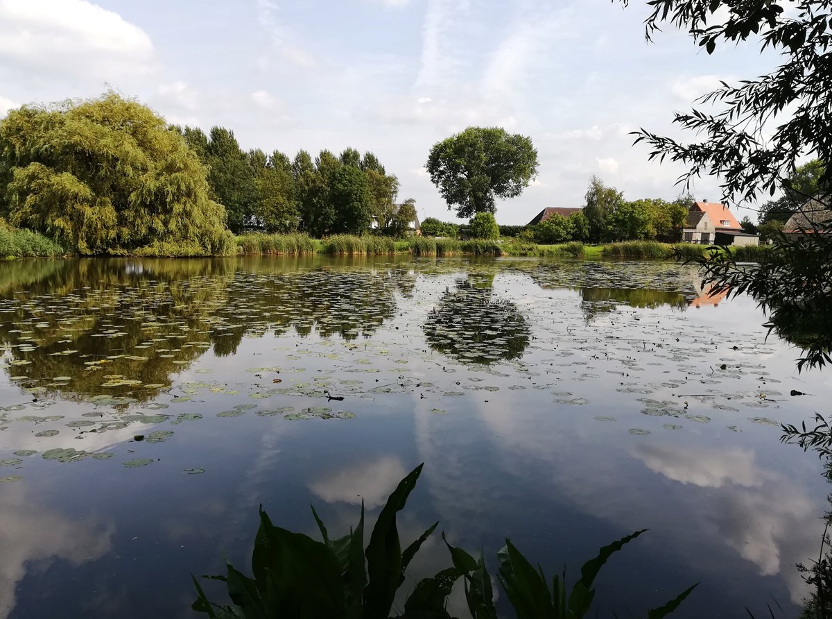 Moerdijkse_stem's tweet photo. Bekijk onze pagina uit de Moerdijkse Bode van deze week op: https://t.co/zhgpRtXlhd
#fotovdweek #Tonnekreek #Klundert https://t.co/uvQcGl3byM