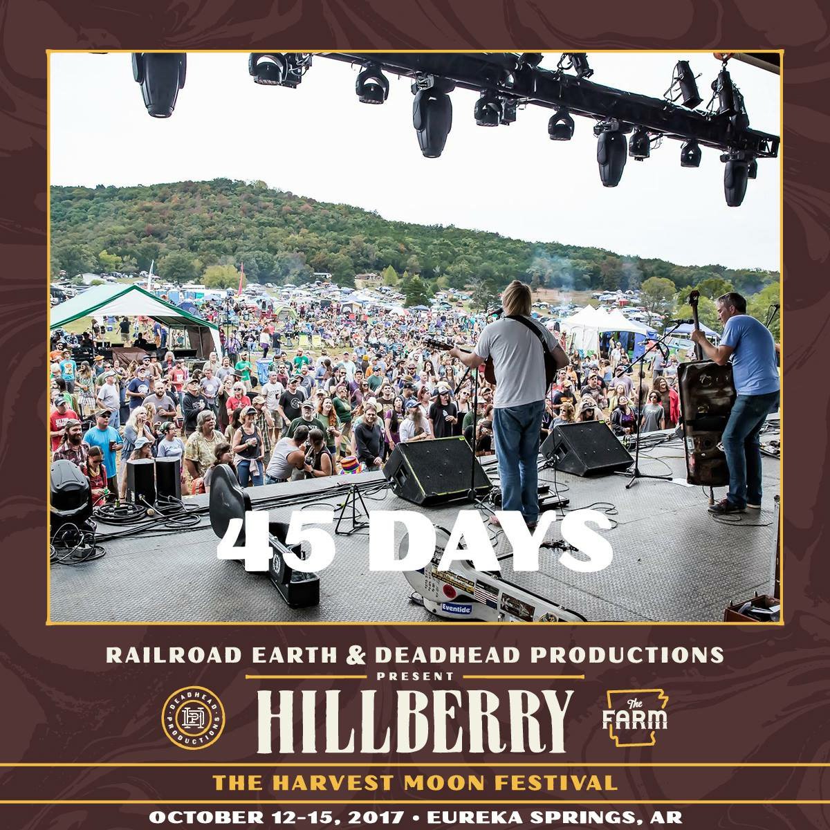 45 Days until we welcome everyone back to The Farm for #Hillberry2017! Photo:Phil Clarkin Photography