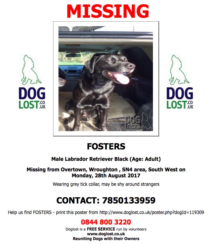 DogLostUK's tweet photo. #LOST FOSTERS Male #Labrador #Overtown #Wroughton #SN4 #Lostdog #ScanMe https://t.co/fCq0Emr273 https://t.co/uq47JTmMbv
