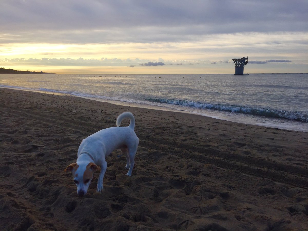 aranzazumw1's tweet photo. GOOD MORNING MARBELLA!!! #goodvibes #beachvibes #marbella #myhome #mylifeonthebeach #freedom #ownerofmylife #motivation #lifestyle #Marbs https://t.co/jmUX5RjTb1