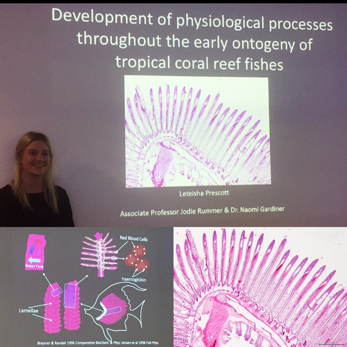 TeishPrescott's tweet photo. Officially a @jcu Masters by Research Candidate!! 👩🏼‍⚕️🐠🔬Confimation seminar complete ✔️ https://t.co/VU3hSfIhLx