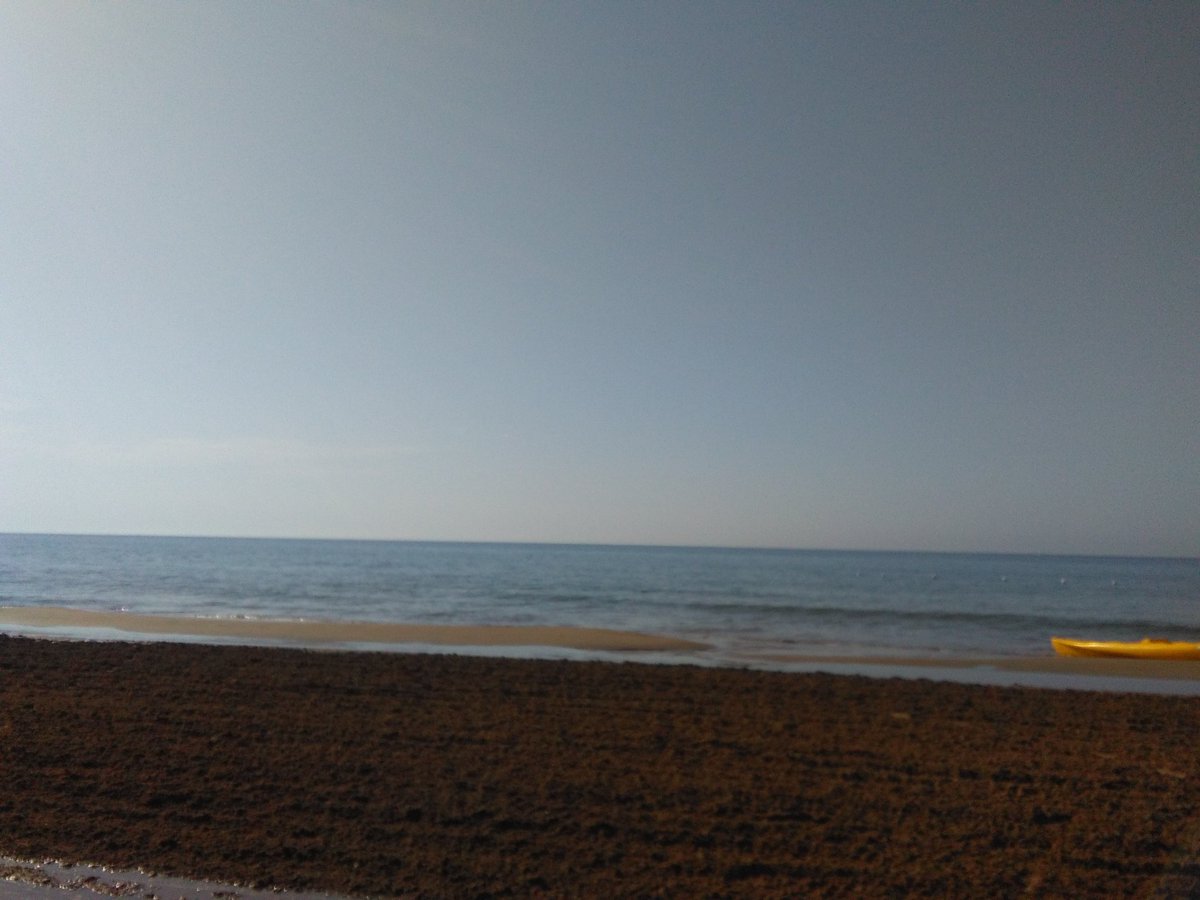 ederwaiss73's tweet photo. Colazione vista mare😍 https://t.co/nvropa7rbh
