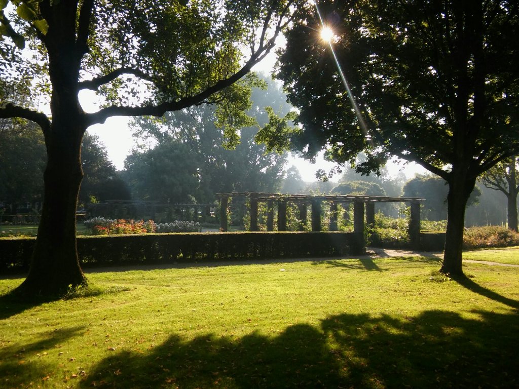 FELBosch's tweet photo. Morningrun @Oosterpark start van een mooie dag! https://t.co/GewQAe8YQz