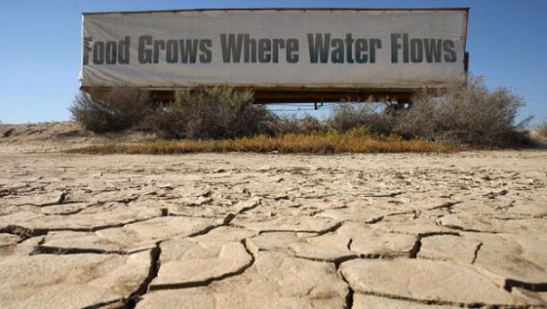 CityofJoburgZA's tweet photo. After 1 Sept, you're only allowed to water your garden between 6pm and 6am, we're still under partial water restrictions #SaveWater ^NS https://t.co/EGID0Auyph
