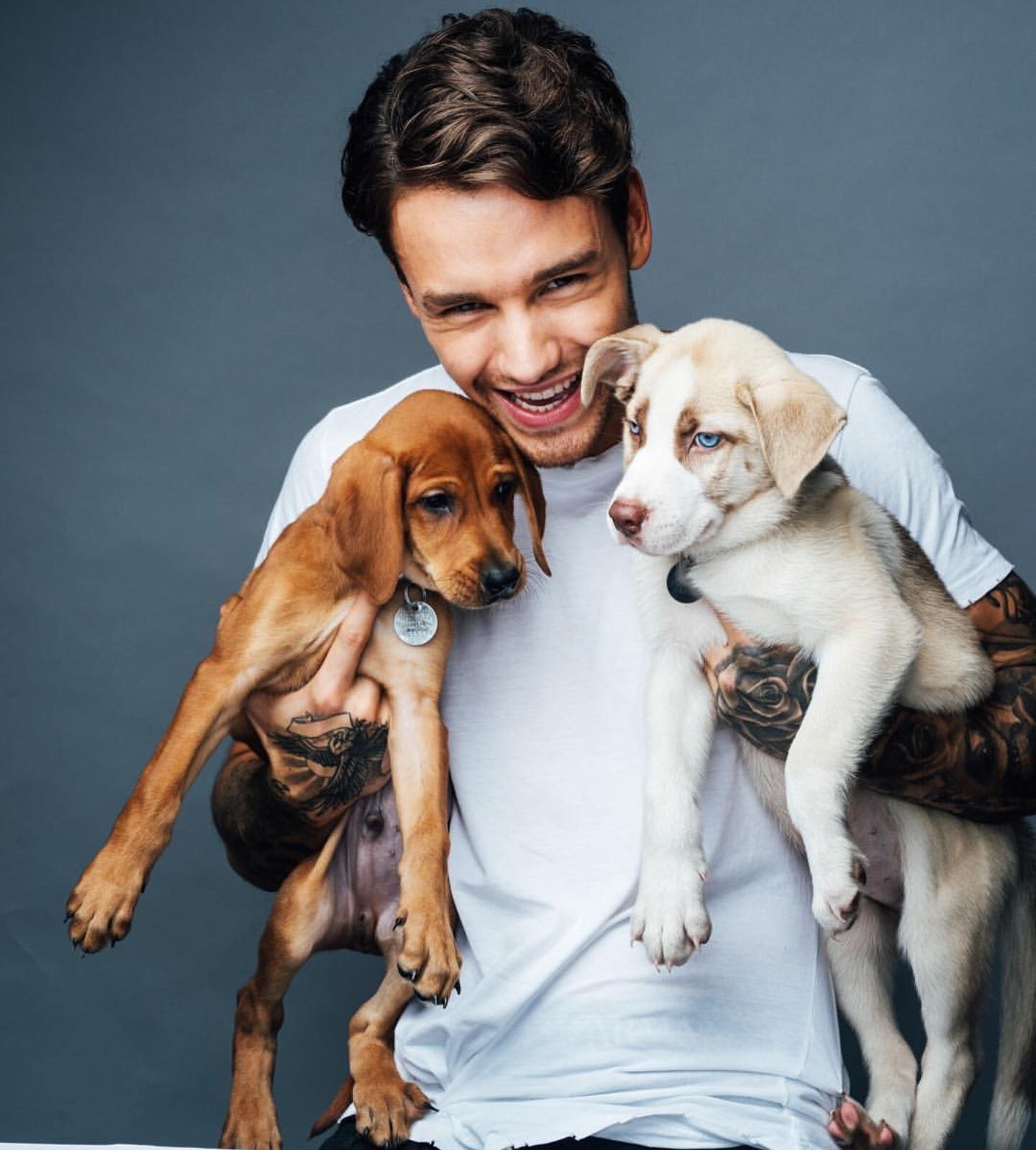 Isabella Pascua on Twitter "RealLiamPaynePH FourLiam ') https//t