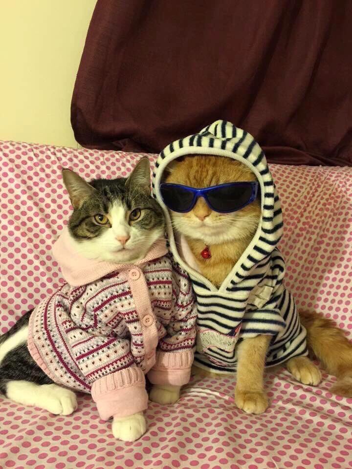 pinkar9's tweet image. ว้ายยย ดูนั้นสิที่รัก
พวกไม่มีผัวกำลังมองพวกเราอยู่