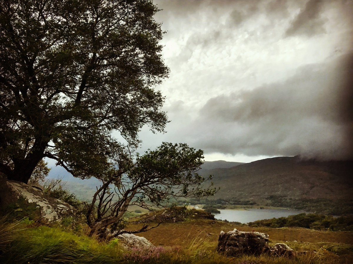 SueShields3's tweet photo. County Kerry, Ireland @DiscoverIreland https://t.co/hgcIjPsEeY