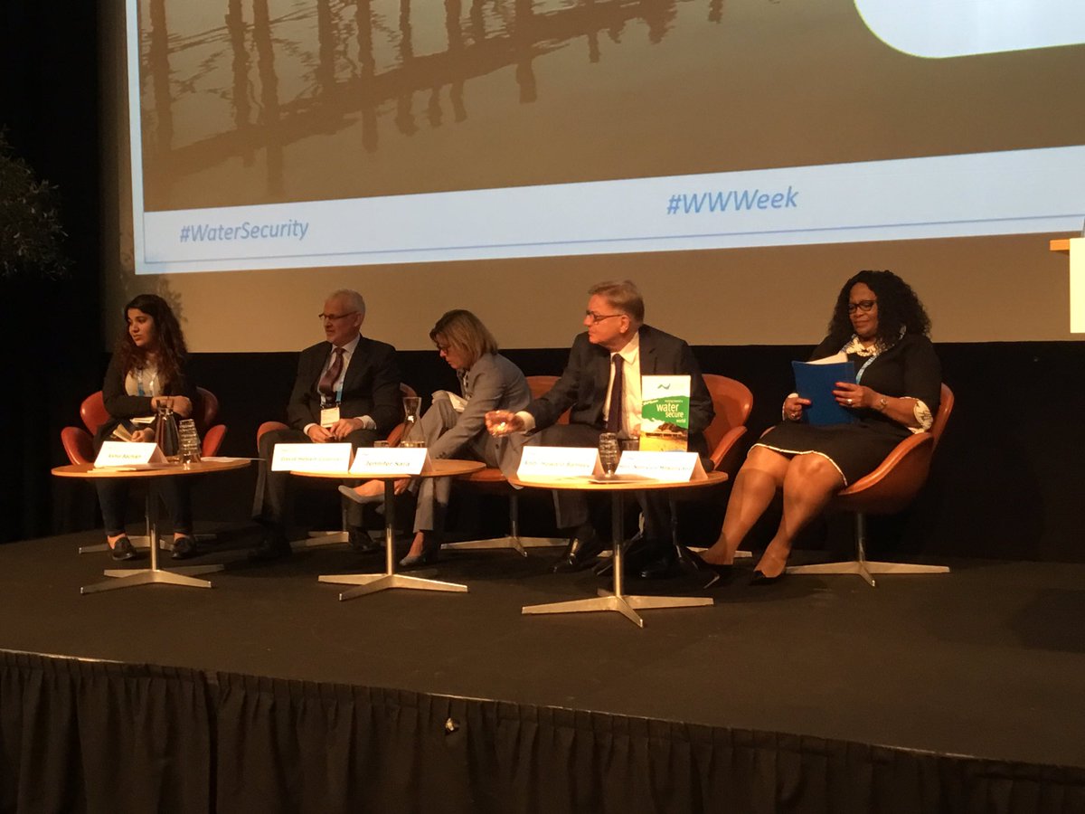 MarietCohen's tweet photo. Direct financing for women #wwgender #wwweek #soroptitweet https://t.co/uovFIyNSpu