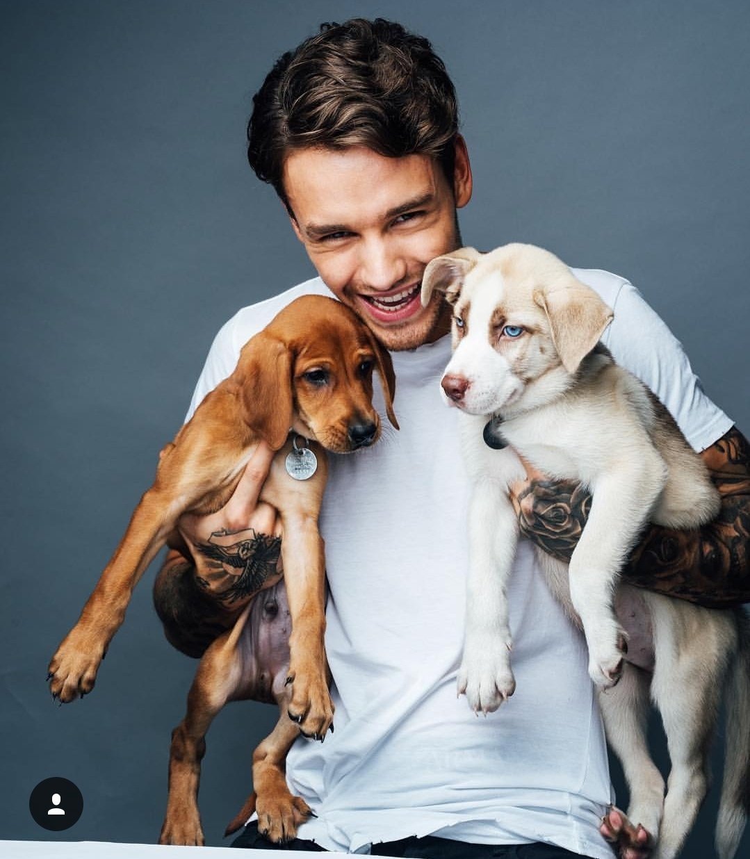Happy birthday to the one and only Liam Payne 