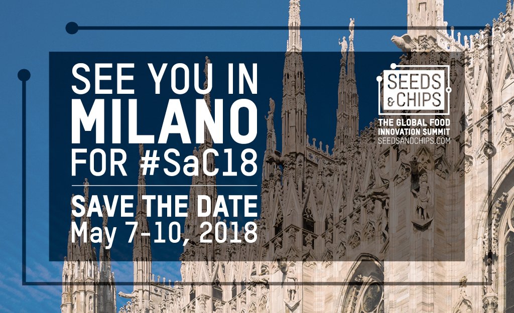 alessandra arcando tweet media