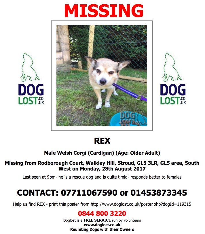 DogLostUK's tweet photo. #LOST REX Male #WelshCorgi #Cardigan #WalkleyHill #Stroud #GL5  #Lostdog #ScanMe https://t.co/WCbMhyYEZF https://t.co/KwXLMvJ05o