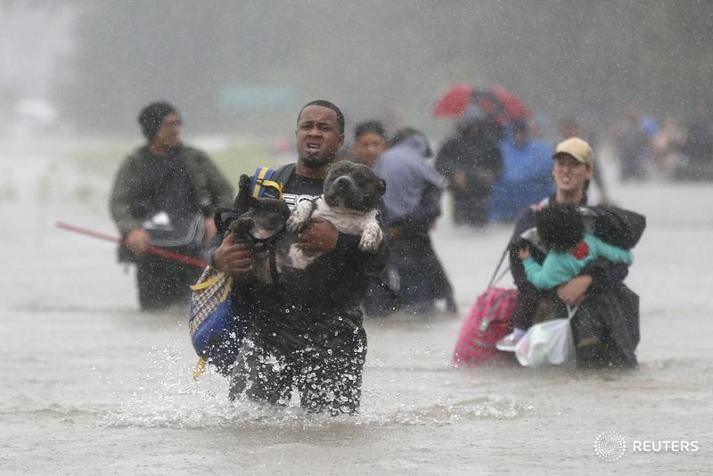 Texans refuse to leave pets behind as they flee #Harvey reut.rs/2wkGAM3 via <a href="/mariannaparraga/">Marianna Párraga</a>