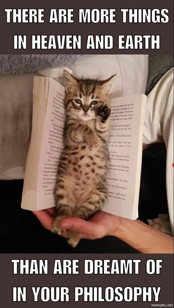 ShakespeareCat1's tweet photo. #shakespeare #cats #CatsOfTwitter #Tunatuesday #BookLoversDay #hamlet https://t.co/MqNe7c5Gez