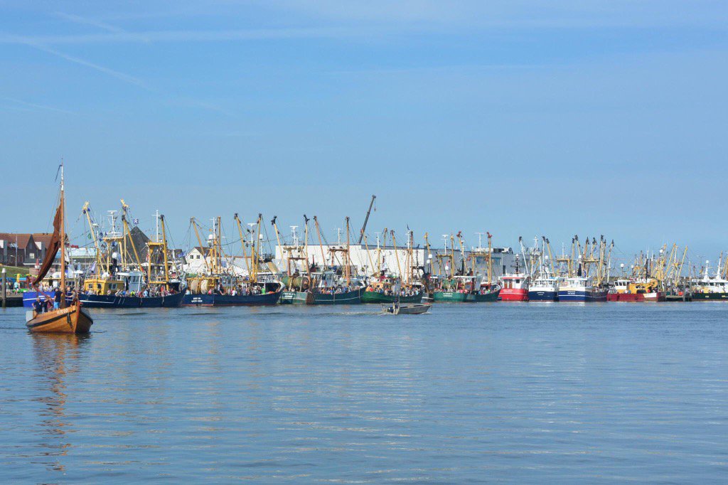 Het is weer teneinde visserijdagen den oever top weekend visserij weer mooi in beeld