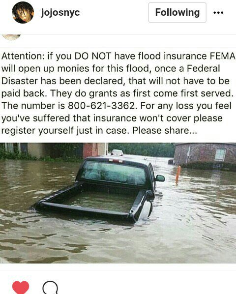 gunter_pudewell's tweet photo. #Attention #HurricaneHarvey #gulfcoast #houstonflood #Victims #federaldisaster @fema has #freegrants .Here are #Links to #donate #Locally https://t.co/Am7ZfxyO6K