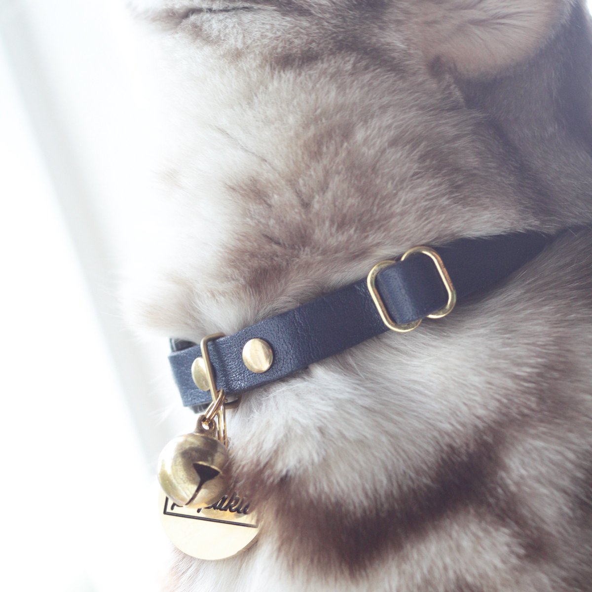 supakit cat collar