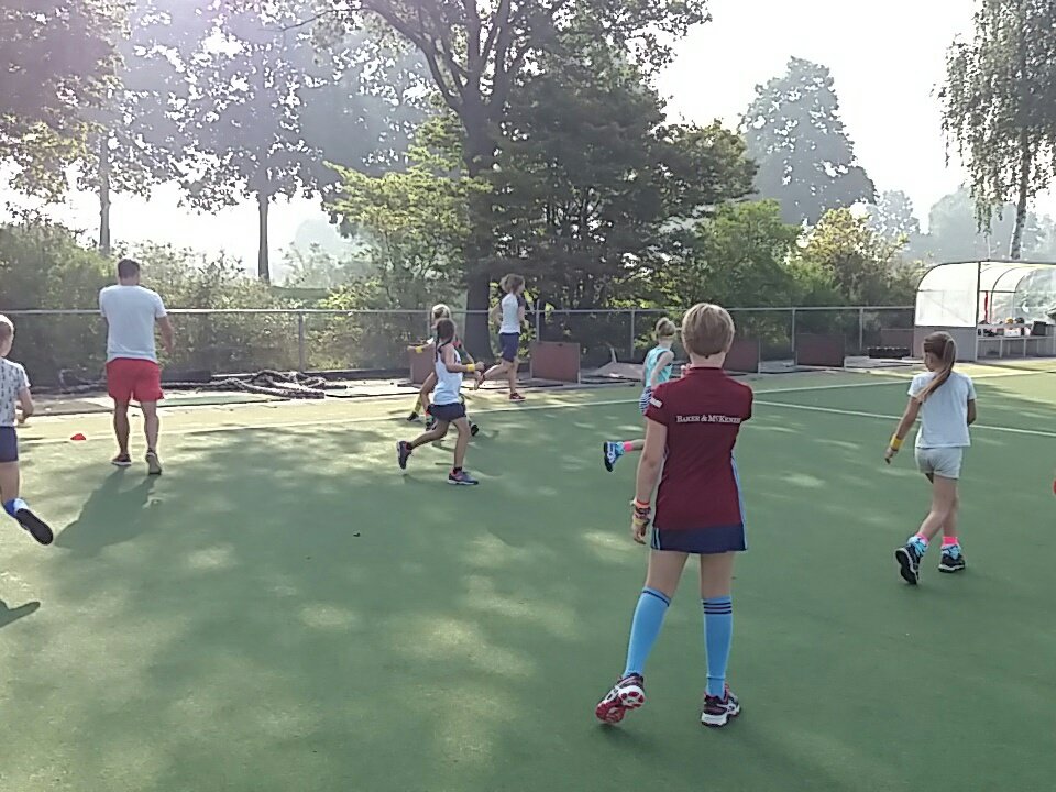 Dynamo Sport Zuid tweet media