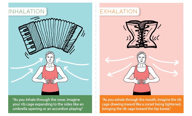 Pilates_Teacher's tweet photo. What is lateral breathing? 
Rather than relax your transverse to belly breathe, keep your core on and breathe in to the sides of your lungs. https://t.co/uCO8sNpv5g