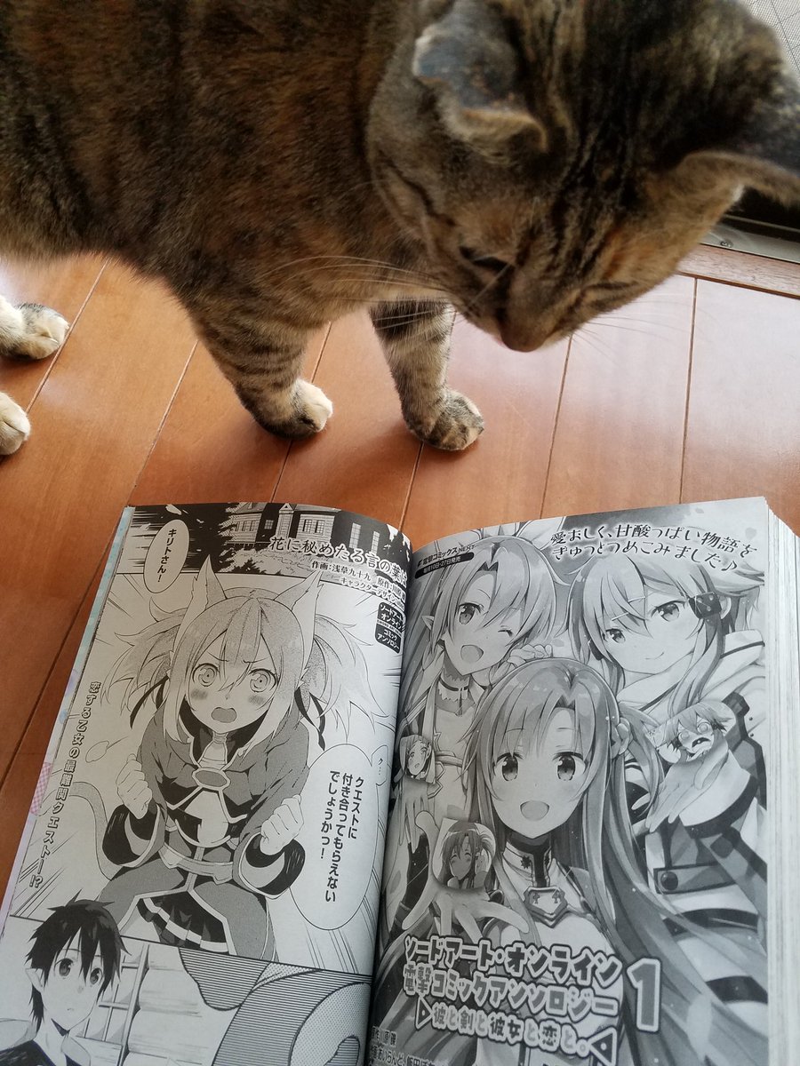 G'sコミックの献本頂きました〜巻末にSAOアンソロ載せて頂いております。明日発売です宜しくお願いします〜！ 