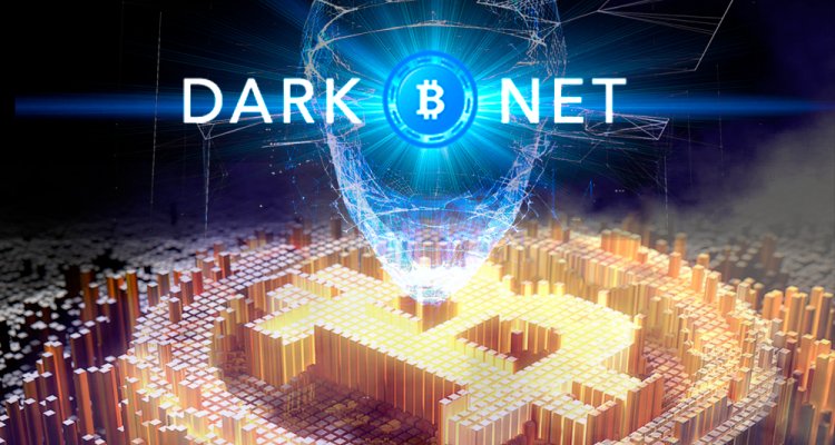 CASEXE_Limited's tweet photo. The new release by CASEXE - DarkNet bitcoin casino
#casexe #casinoiseasy #bitcoin #bitcoincasino 
https://t.co/Pqqq4hURnu https://t.co/6DcCZuBTzW