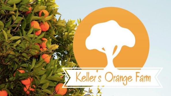 InstaLogoApp's tweet photo. Keller's Orange farm made by @InstaLogoApp 🍊 https://t.co/k3HdZ4b3Rh