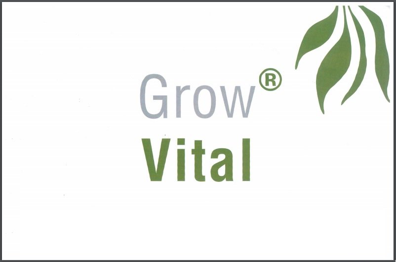 GrowVitalEN's tweet photo. 🥁 #SALE #TUESDAY 🥁
Has your ballast given up? Bulb burnt out? Dankness destroyed tent? Stock up and improve now! https://t.co/OEIEucEpPF https://t.co/rpPfZ5YgcK