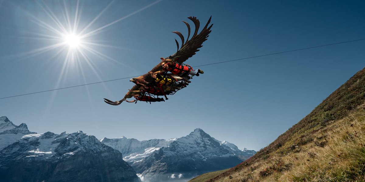 MySwitzerlandES's tweet photo. #Planazo: Hacer el descenso de #First a #Schreckfeld a 72 km/h con el #FirstGlider @GrindelwaldCH https://t.co/IO1fbKqLal https://t.co/utc5PVbtdp