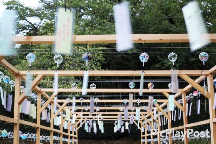 photo_m_net's tweet photo. #岡山後楽園 
#幻想庭園2017 
#涼の小径 
スライドショー1
💖💖💖🎉🎉🎉💝💝💝
2017.08.28 #岡山後楽園指定写真館 #写真ムラカミ #はちえん実践会 #wp_ https://t.co/bitl6u3AOq https://t.co/Bdv6TTxZNq https://t.co/fCNYeQ7S0k