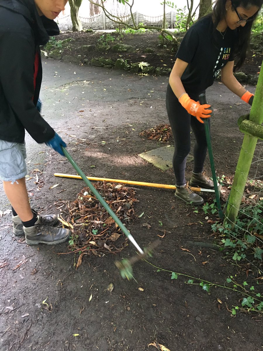 InspiraAliceC's tweet photo. And they're off! Making a great start in clearing the Japanese Garden at Happy Mount Park for their #NCS social action project! https://t.co/GTDxLC2p4Q