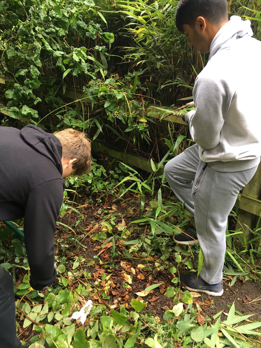 InspiraAliceC's tweet photo. And they're off! Making a great start in clearing the Japanese Garden at Happy Mount Park for their #NCS social action project! https://t.co/GTDxLC2p4Q