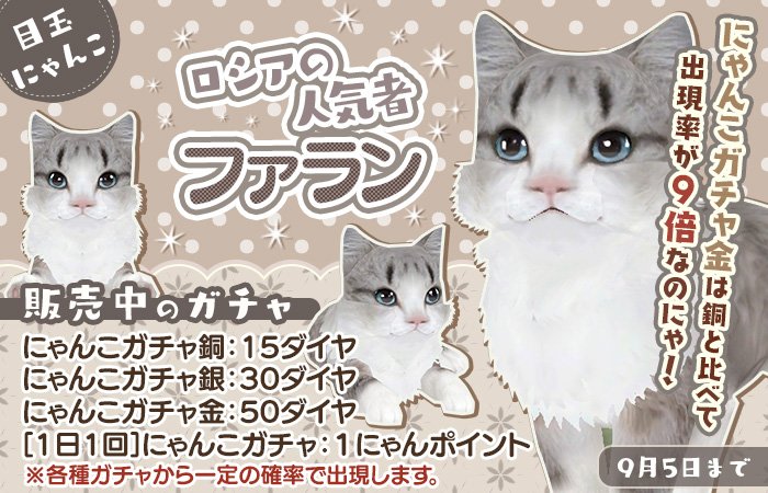 新登場のにゃんこはこちらにゃ！ロシアの人気者「ファラン」だにゃ♪ロシア生まれで我慢強いにゃんこだにゃ！アヒル口があざといのにゃ～ sp.age-corp.jp/tn/news/detail… #てのニャン #猫