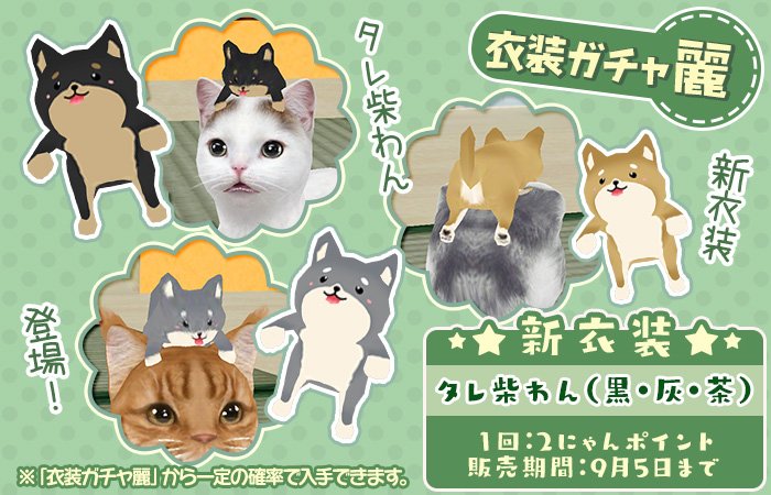 2つめの新衣装は「タレ柴わん」だにゃ♪頭の上にだらーんと気が抜けた柴犬さんが乗ってしまうにゃ！暑い夏に耐えられなかったのかにゃ？ sp.age-corp.jp/tn/news/detail… #てのニャン #猫