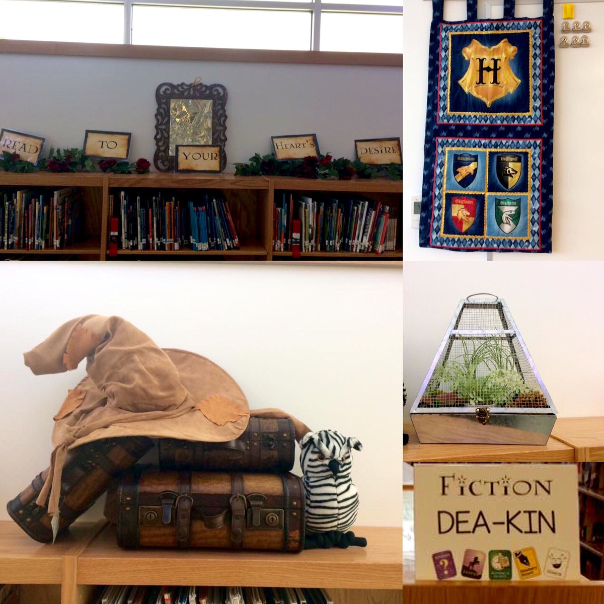 BiblioBecky's tweet image. So excited for the new school year in our new school! ⚡️🦉
#mylibrarylife #HarryPotter 
#libraryspace