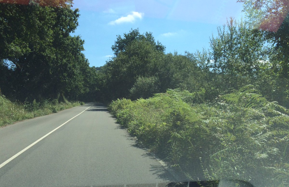 Mucho bombo a "Rutas Seguras" y controles de la <a href="/DGTes/">Dir. Gral. Tráfico</a> y despues tenemos la AS-246 (Gargantada) que parece una caleya gracias al Principado