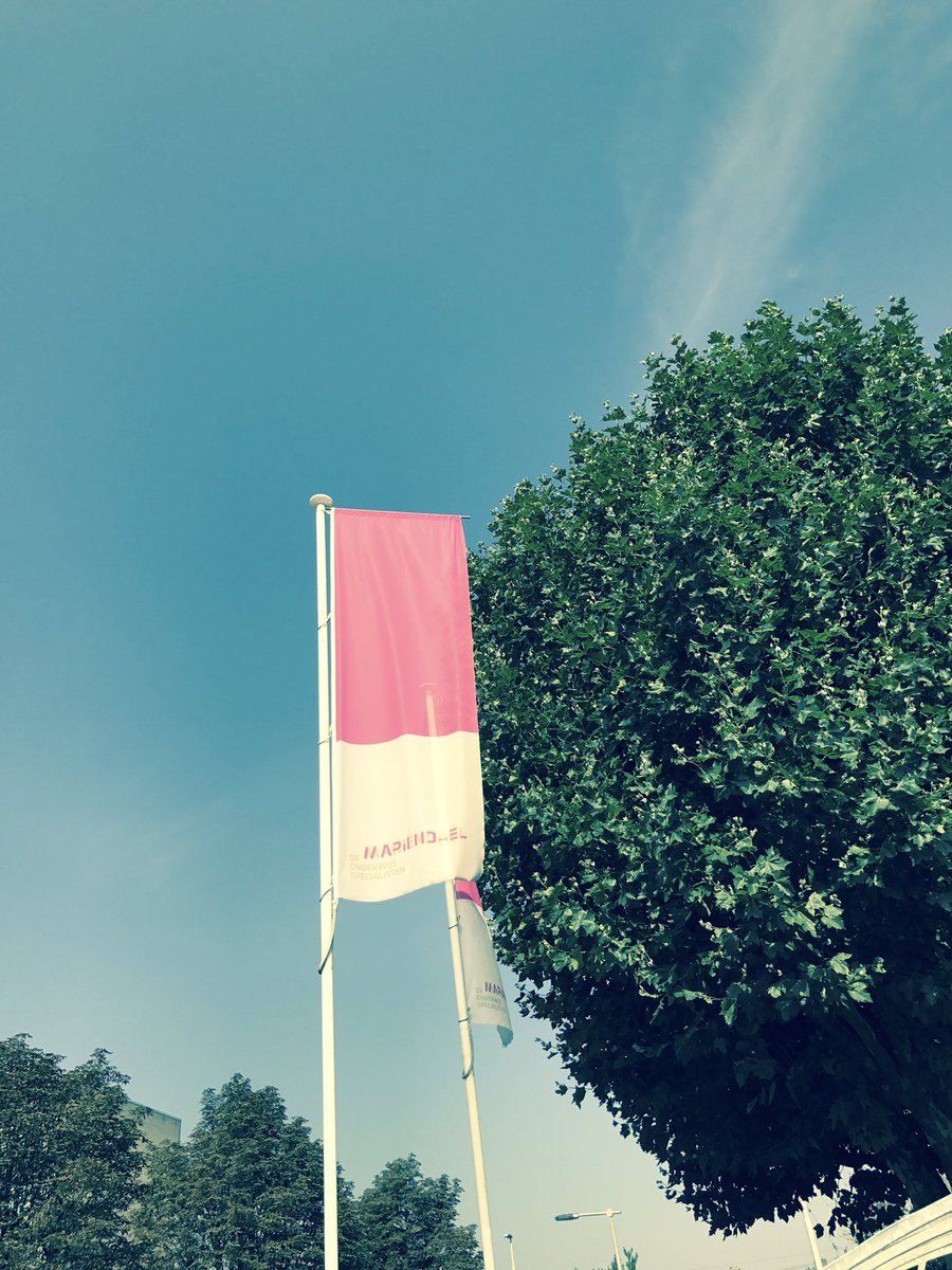 Terug van weggeweest!
#vsomariendael #deonderwijsspecialisten #mariendael