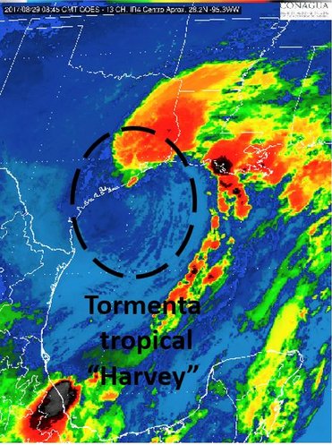 Ver imagen en Twitter