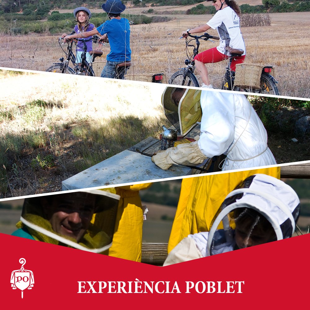 Hosta_Poblet's tweet photo. Entra en contacte directe amb la natura amb les activitats que t'oferim a Poblet! :) https://t.co/U2VPthtFWm