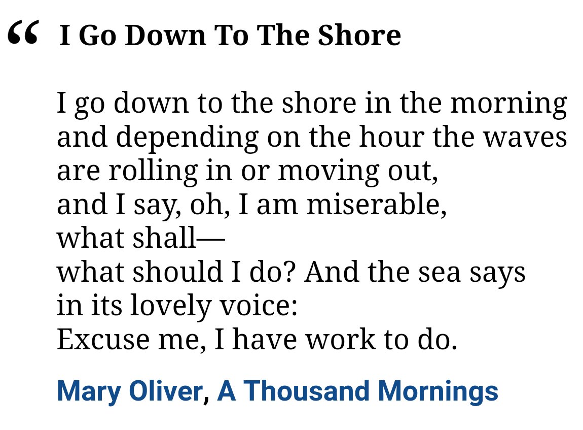 <a href="/imteddybless/">imteddybless</a> My fave - I Go Down to the Shore by Mary Oliver. Lovely.