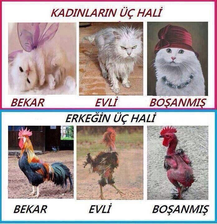 hrnnnnnnnnnn (@gamzeharuneymen) on Twitter photo 