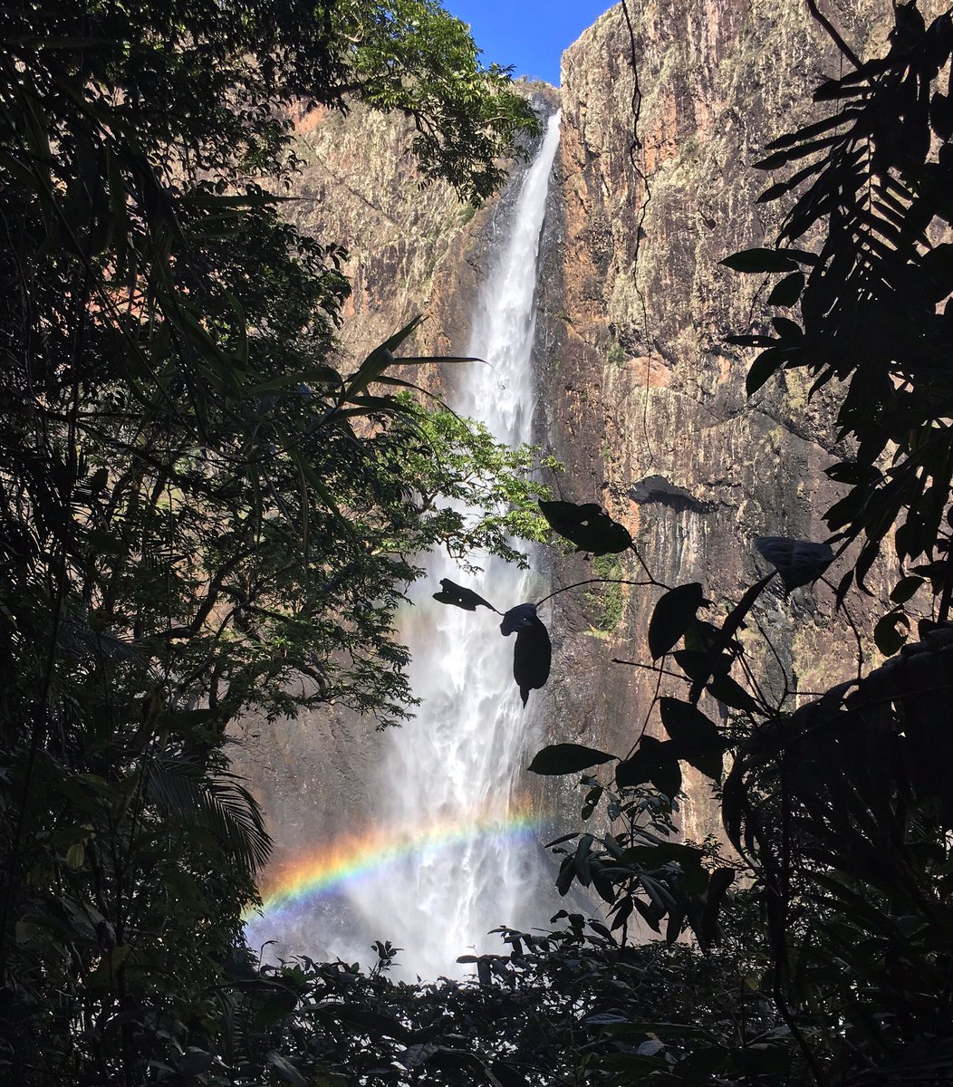 A view from the hike down to the bottom of Wallaman Falls in Australia.