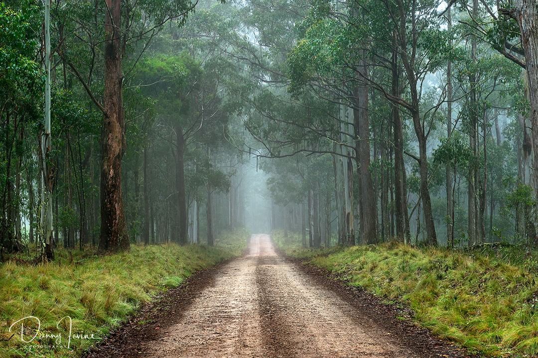 We love how <a href="/dannyirvinefoto/">Danny Irvine</a> of our Pro Team captured the mood in this photo.
Did you know he hosts workshops? >> bit.ly/2uOKqxS