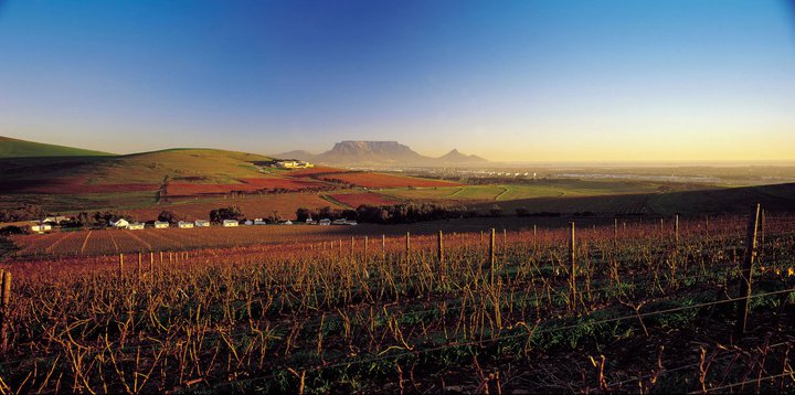 WineDurbanville's tweet photo. Sip and savour top-notch reds and whites of Durbanville Wine Valley which boasts gorgeous views. 
#WeDoTourism 
#TravelTuesday 
#CapeTown https://t.co/QRMoCOQcTl