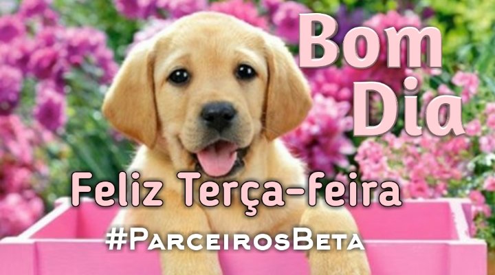 #ParceirosBeta