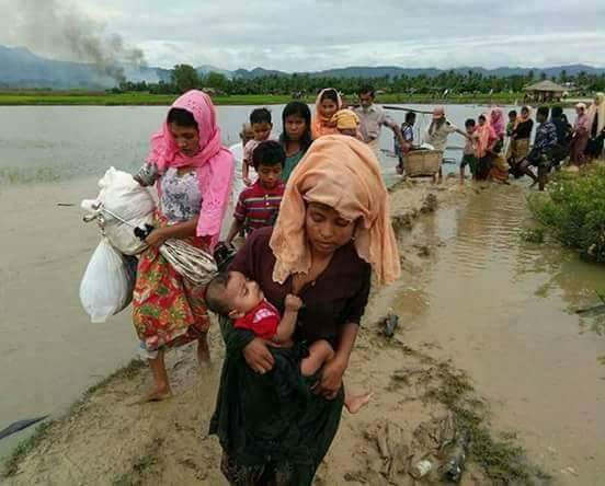 sadakatasi's tweet photo. Yurtlarından sürülüp, Bangladeş sınırına sığınan Arakanlı kardeşlerimize acil yardım çalışmalarımız devam ediyor. #AraKANağlıyor https://t.co/IDRHS52BLp