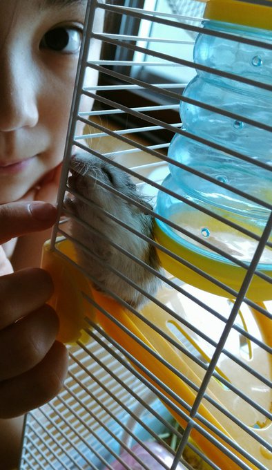 Twitterのコスプレ画像45