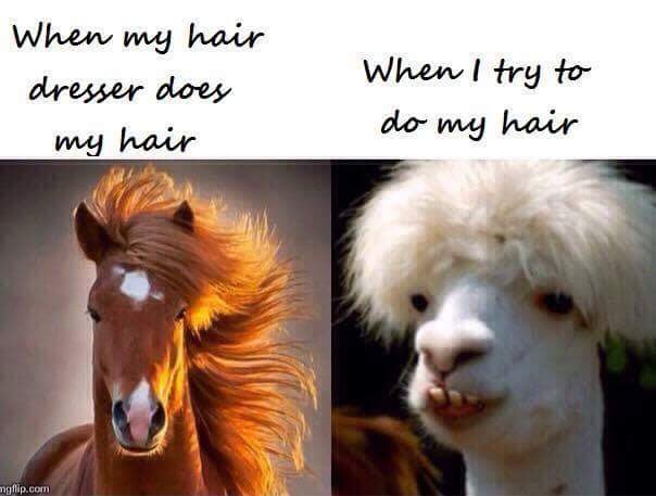 Kristin_Elyce's tweet photo. True story! 🤣#AtlantaHairstylist https://t.co/cx93sCVNtn