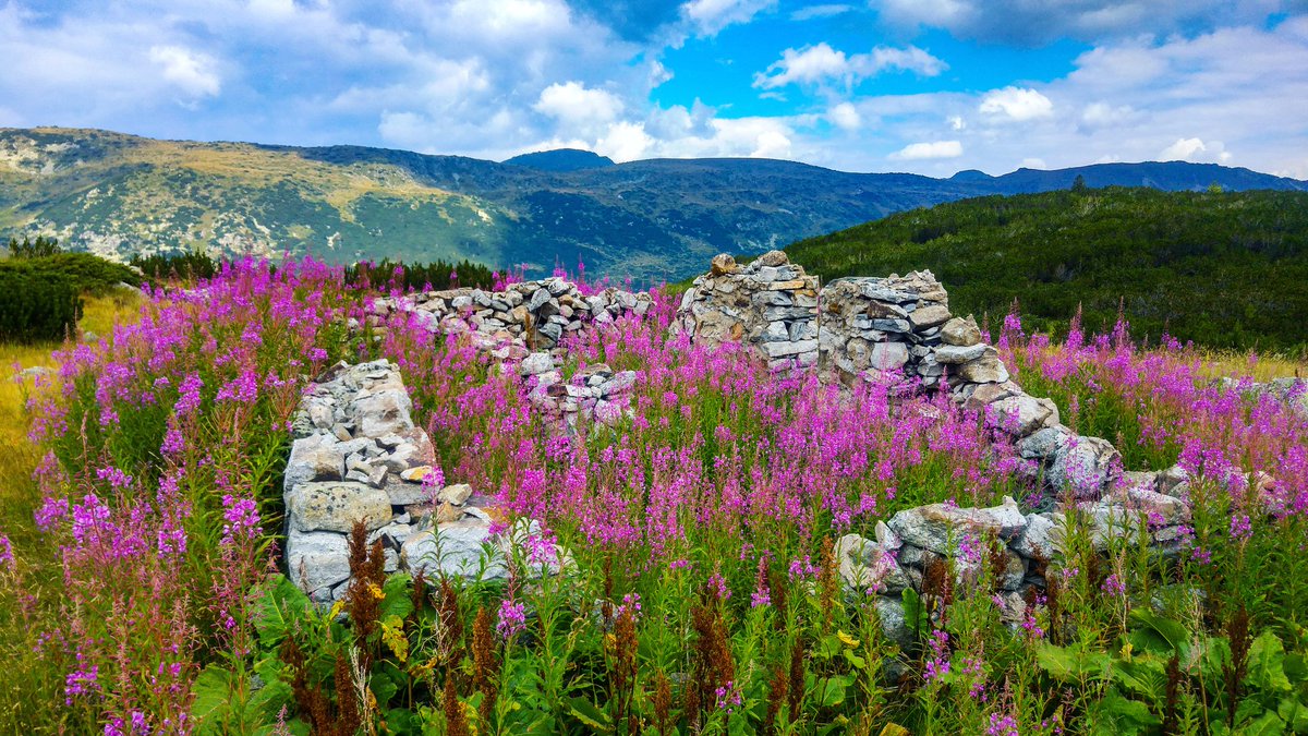emilrd94's tweet photo. Not a bad place to be
#landscape #GoPro @GoPro #hero4 #photography #photooftheday #bulgaria #Travel #traveler #nature #mountains #Awesome https://t.co/f7ILQPkIKA