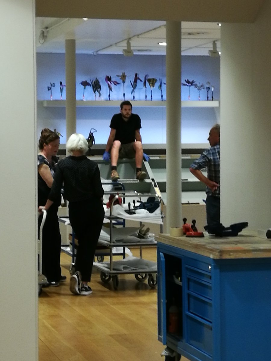 Aristolochia's tweet photo. #MMObjectLessons is closed now: de-installing plant models and lantern slides this morning @McrMuseum https://t.co/MyEMzk9e0u